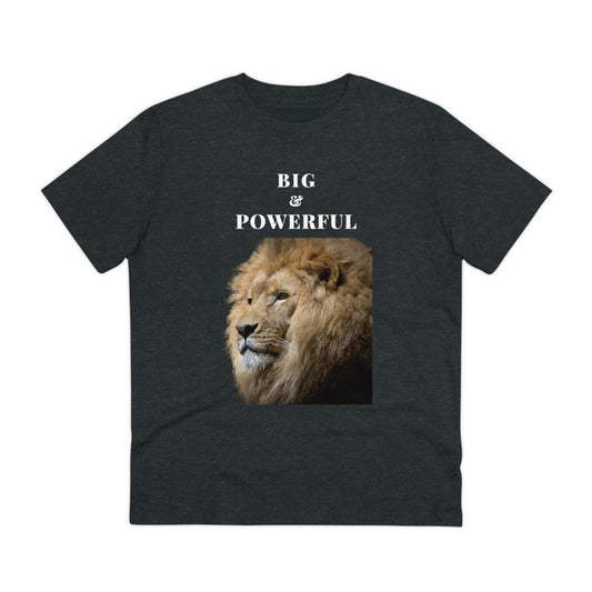 BIG & POWERFUL T-shirt