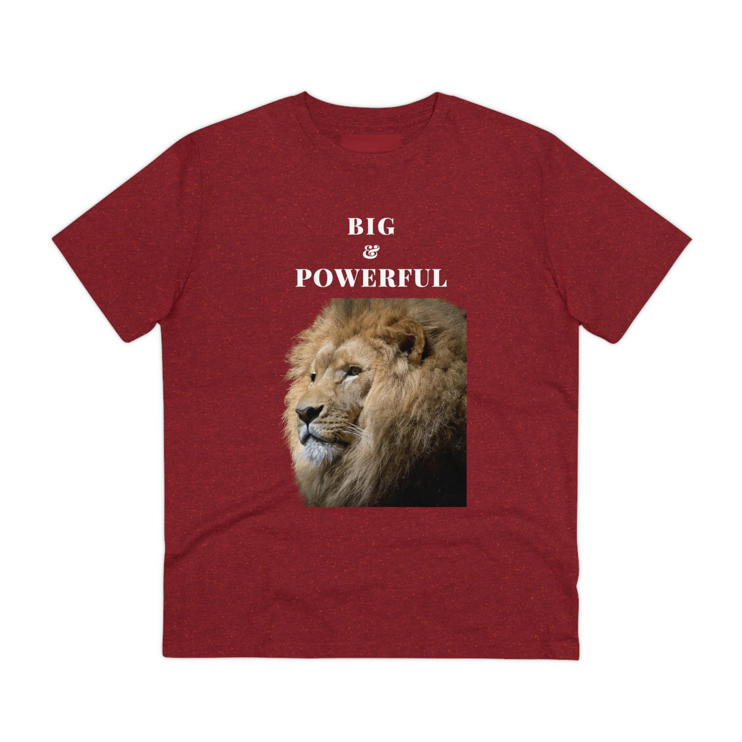 BIG & POWERFUL T-shirt