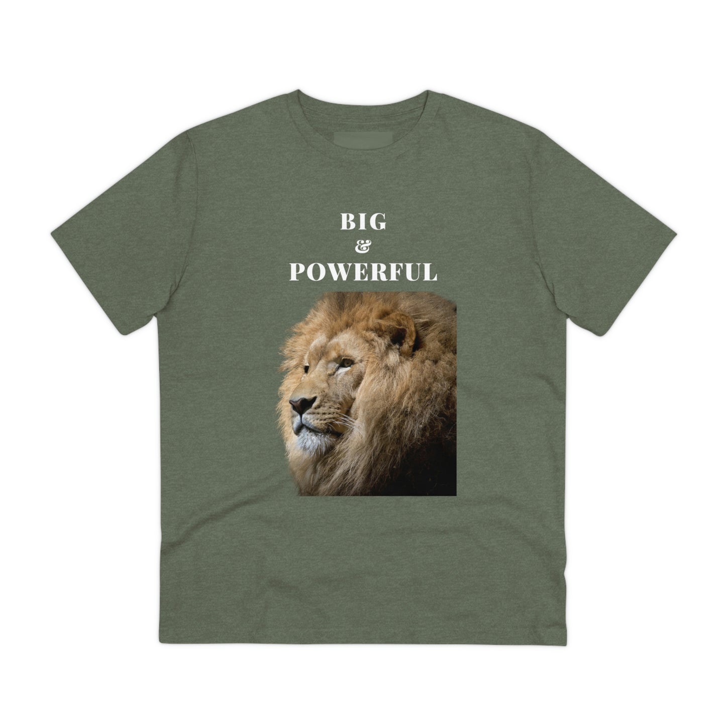 BIG & POWERFUL T-shirt