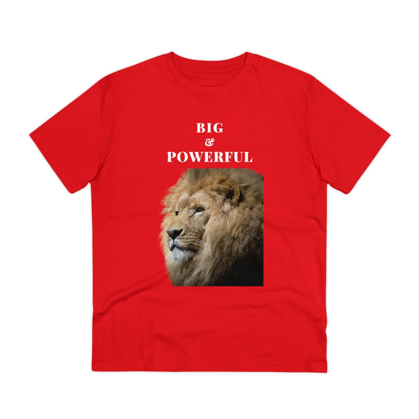 BIG & POWERFUL T-shirt