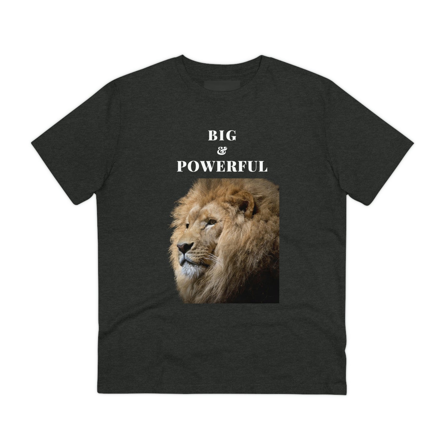 BIG & POWERFUL T-shirt