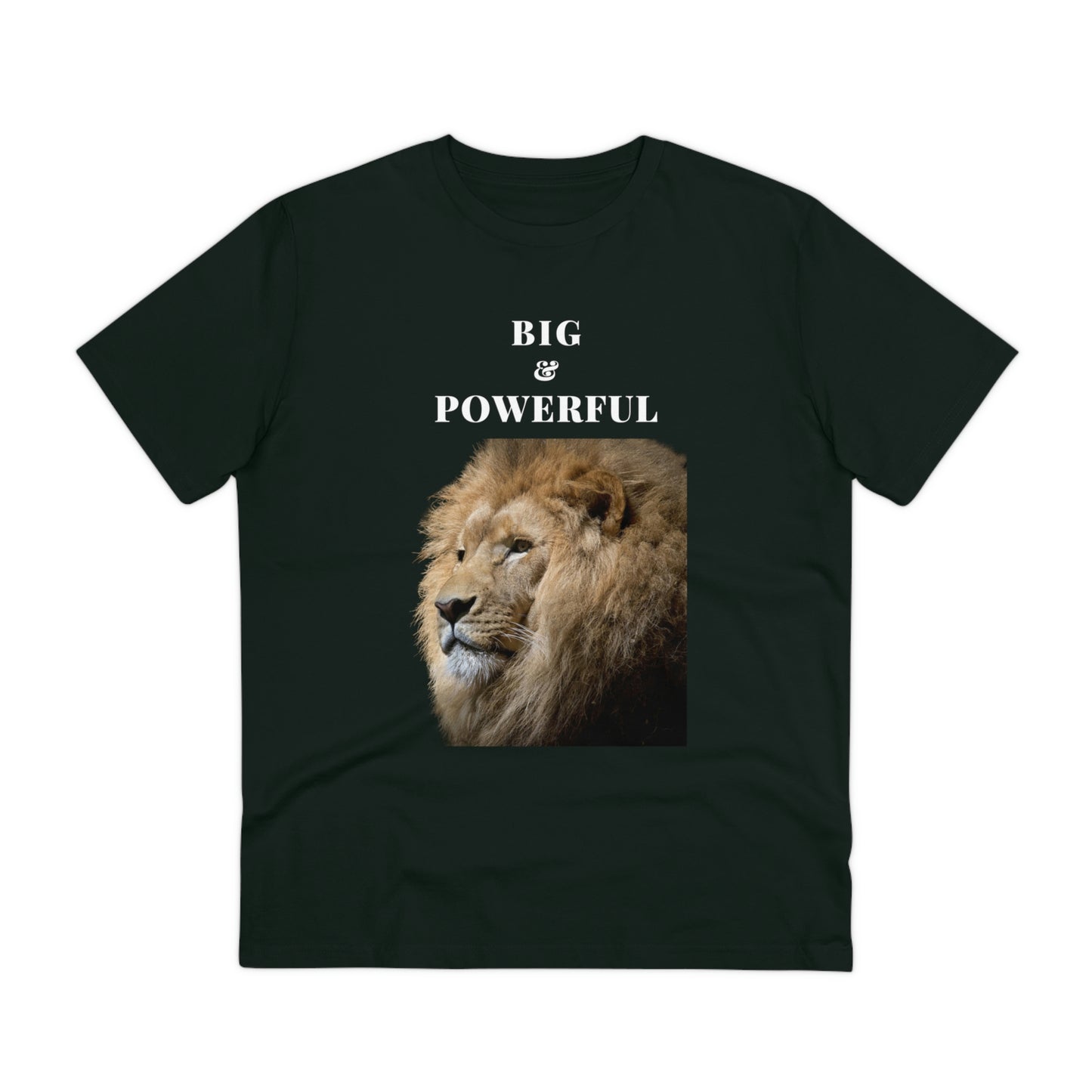 BIG & POWERFUL T-shirt